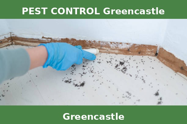 PEST CONTROL Greencastle